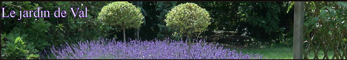 Zénitude au jardin